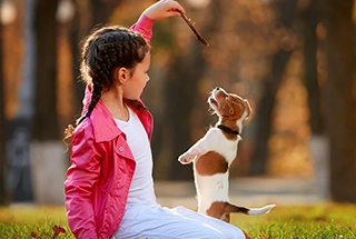 Pet Park
